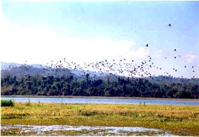 Indawgyi Lake