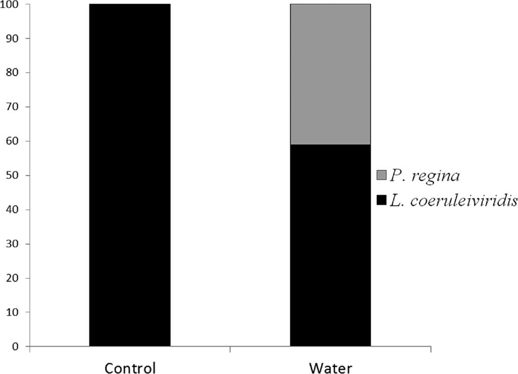 70 PROCEEDINGS OF THE INDIANA ACADEMY OF SCIENCE Figure 3. Species composition of larval blow flies on water and control pigs.