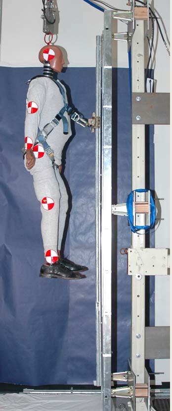 harnesses for each test. The use of the ATD allowed for an examination of starting postures on the performance of the system, which is an obvious limitation of the standard rigid test torso.