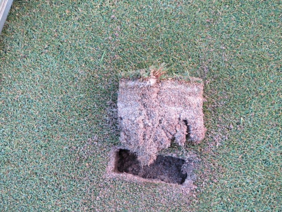 Report Prepared for Old South Country Club 17 July 2012 Turfgrass Disease Solutions, LLC Steve McDonald, M.S I visited Old South Country Club on 3 and 11 July 2012.