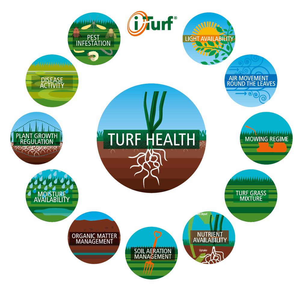 Integrated Turf Management We believe that the best turf is created by taking a holistic