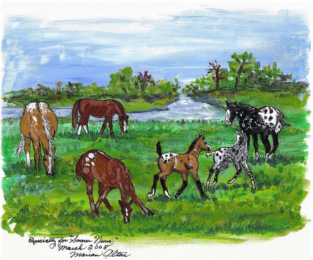 Volume 44 Number 2 MARCH/APRIL 2008 WINNER OF THE 2007 ApHC PRESIDENTS AWARD OF APPRECIATION In This Issue New Sooner Kids Page The ApHC