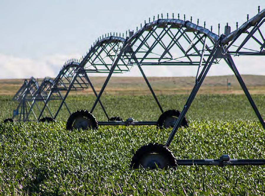 Sandpoint Irrigation Sandpoint Cattle Company carries 856.27 acres of certified irrigated acres under the South Platte NRD. 677.
