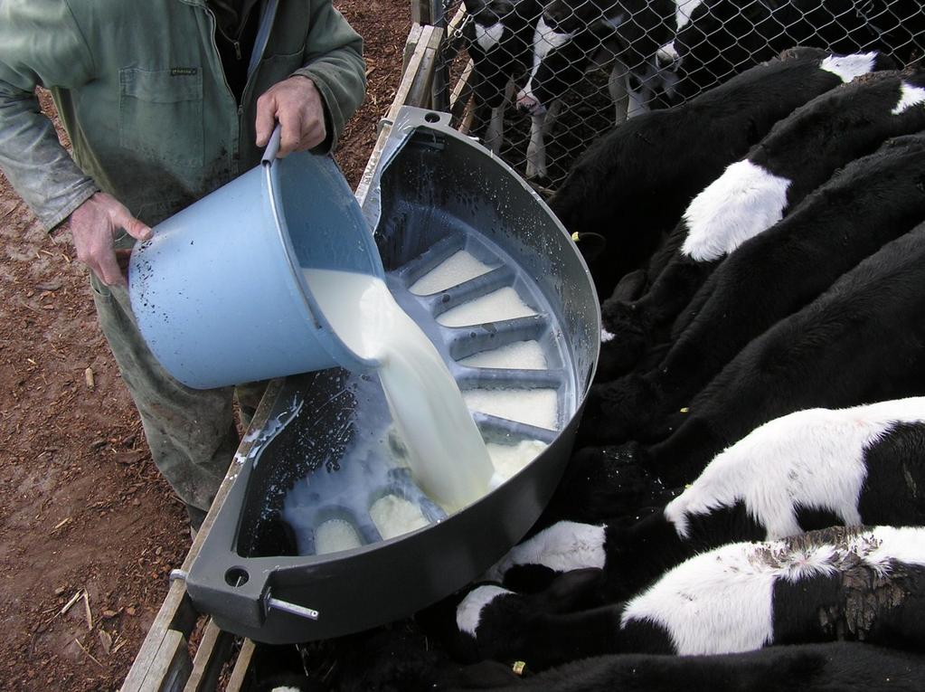 Milk powders usually contain 24% protein and On-Farm Research product surveys have shown this can range from 22 to 29%. The fat content is typically 22% but with a range from 17 to 23%.
