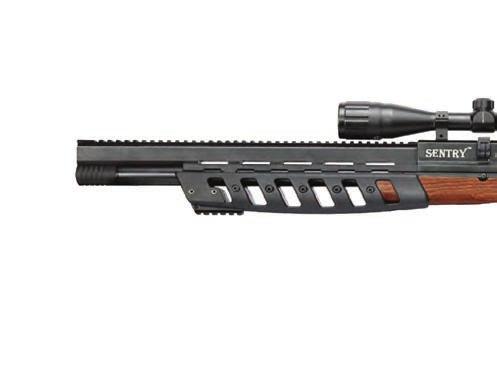 5mm/0.177 1000 45.1 18.7 7.7lb 1/4 @10Yrd 3 5.5mm/0.22 820 45.1 18.7 7.7lb 1/4 @10Yrd 3 XS25SFB XS60C XS60C is Xisico USA s first CO2 air rifle.
