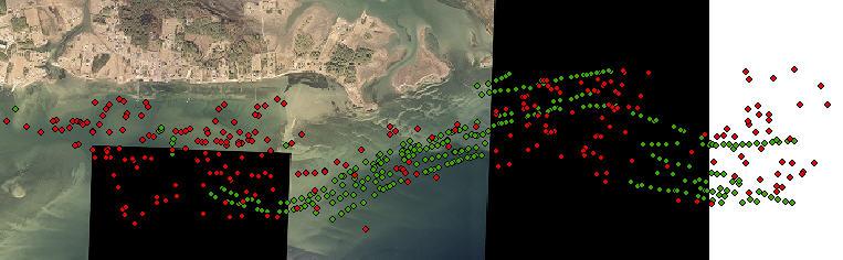 Buoyed Pots - Green Figure 1. Map of initial crab pot survey sites.