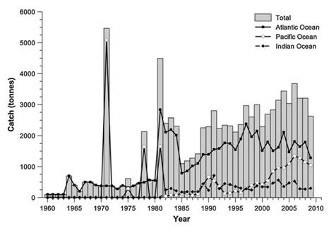 Figure 1 Worldwide wahoo landings by year and ocean basin (from Zischke 2012, data from FAO 2011). In 2010, commercial fishers in the U.S. caught 300 MT of wahoo.