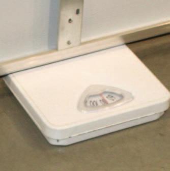 Make sure to bend at the knees when lifting door and feet are clear of door travel. For door weighing more than the scale registers, two scales may be used by adding totals together.