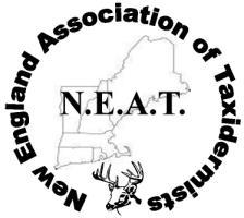 NEW ENGLAND ASSOCIIATIION OF TAXIDERMISTS www.newenglandtaxidermists.org Pre Show April 2017 Officers: President: Cathy Gearwar 289 Stage Road Benson, VT 05743 (802) 537-2145 fourgears@shoreham.