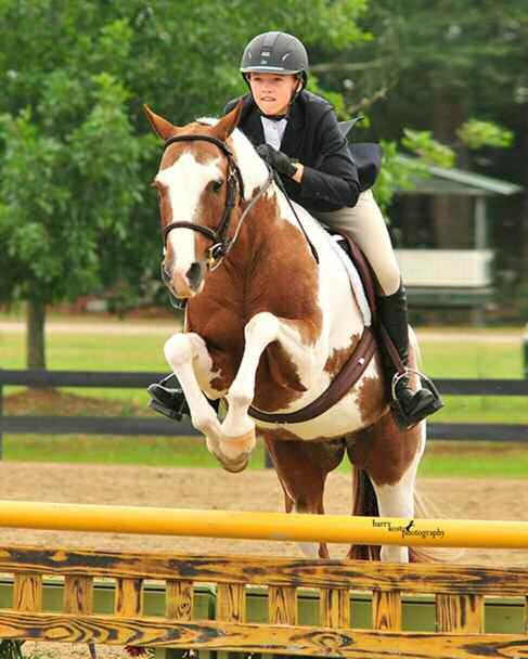 Adults may not ride ponies unless they have competed on them in Progressive Rider Jumper Division or the Pre-Adult Hunter/Equitation Division(s). Horse, Rider & Owner must be PSJ member.