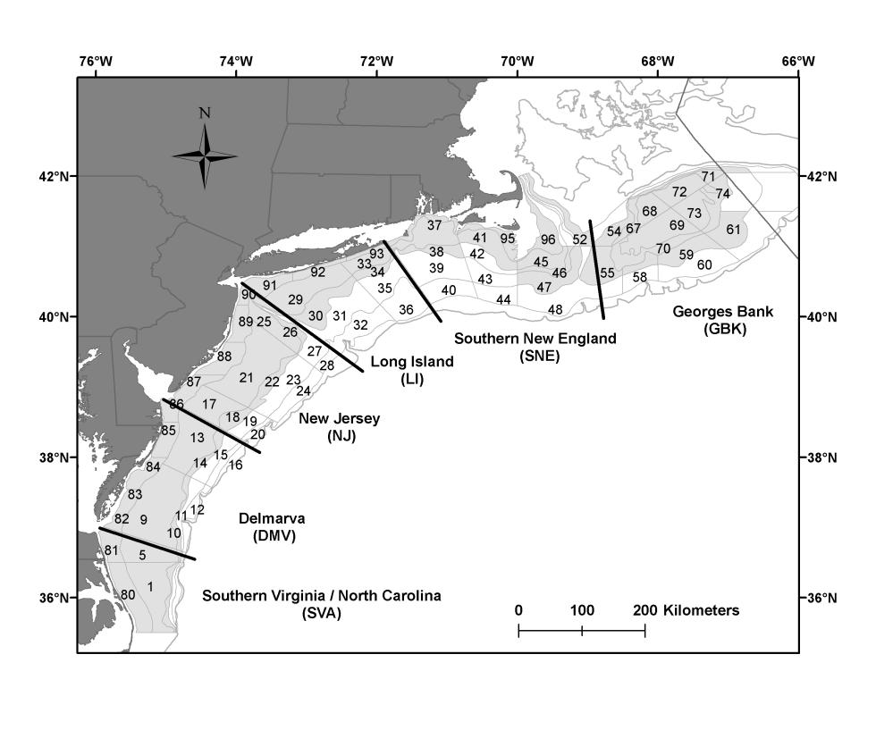 Figure 5. Surfclam stock assessment regions and NEFSC shellfish survey strata.