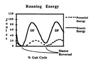 ground at certain phases of gait cycle Locomotion: PE vs KE Walking Changes in PE are