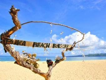 Lunch at the island After tour, transfer back to the resort 1900H Dinner at local restaurant After dinner transfer back to the resort Overnight at Boracay Regency DAY O3 BORACAY [B/L/D] 29 JANUARY