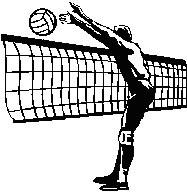 VOLLEYBALL by