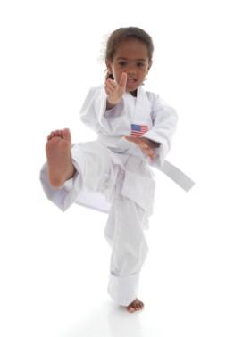 Students will learn all of the material necessary to reach the rank of Black Belt; this includes elements of several disciplines Including: Kickboxing, Jiu-Jitsu and Submission Grappling The purpose