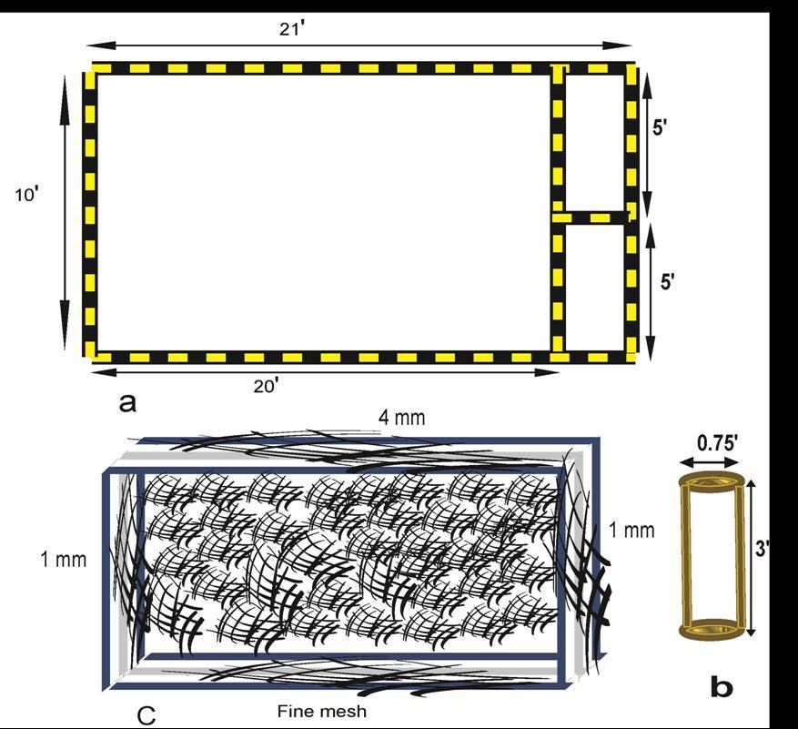 570 Figure 2. Schematic diagram of cage for tilapia brood rearing The eggs released by the female were fertilized naturally by milt of the male in the cage.