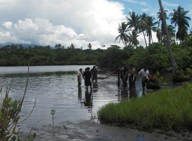 Figure 6. SFD Officers using a seine to sample fish in Lake Satoalepai Results Pre-stocking observations and fish survey Visual observations indicated that Mozambique tilapia (O.