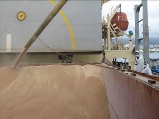 Job: Wheat Specialty Description: Loads grain into ships hatches and levels off load Equipment Assessed: AGT semi-automated operation and PECO at JRI ESSENTIAL DUTIES 1. Loading Grain A.
