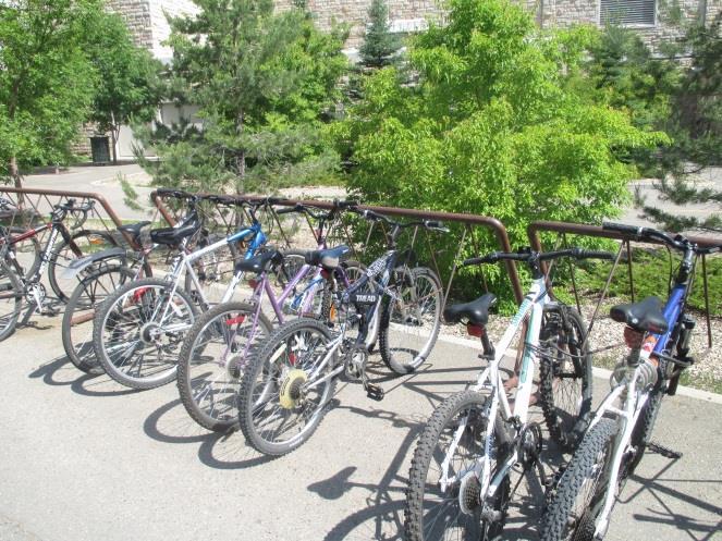It is recommended that the Office of Sustainability collaborate with Grounds and Parking Services to purchase five new bicycle racks.