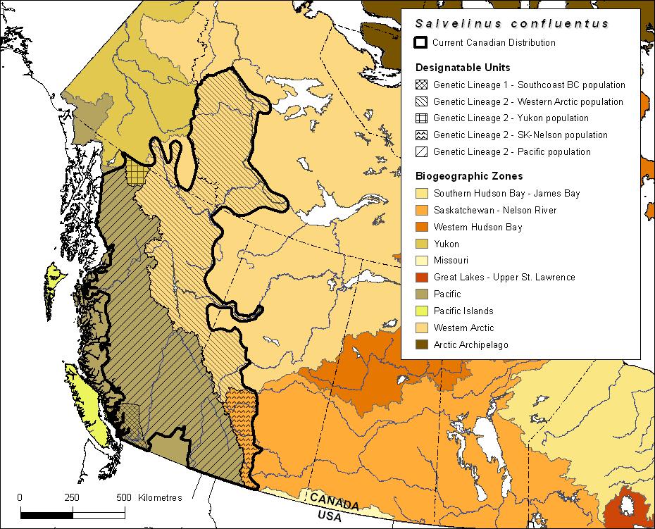 Figure 5. Canadian distribution of Bull Trout. Data from: Province of British Columbia (2007); Rodtka 2009; Laframboise (pers. comm. 2010); Parkinson (pers. comm. 2010); Mochnacz et al.