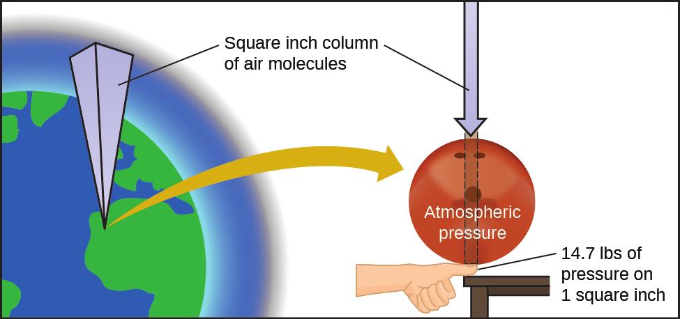 Gas pressure is caused by the force exerted by gas molecules colliding with the surfaces of objects (Figure 9.2).