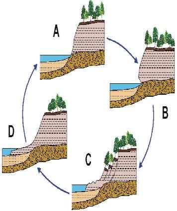Process repeats when slumped cliff material is removed by waves.