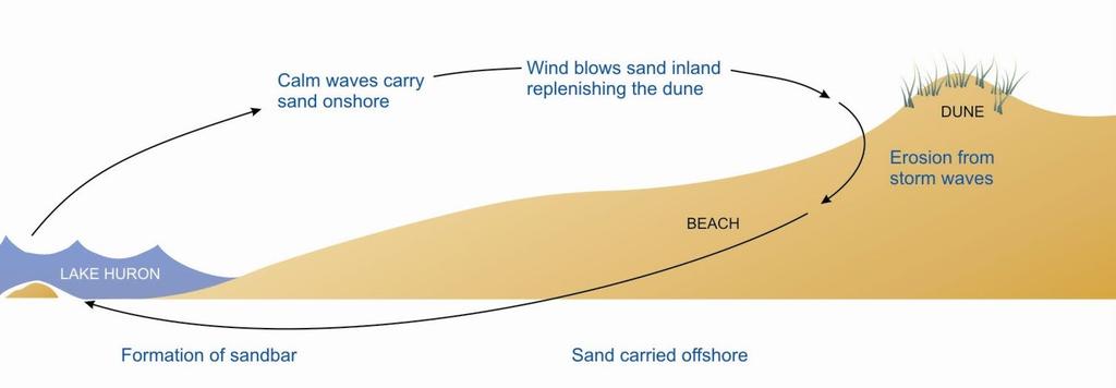 High energy beaches, like Point Clark see a give-and-take of sand throughout the year. Low energy beaches like Sauble Beach have more sand removed by wind and wave action, than is added.