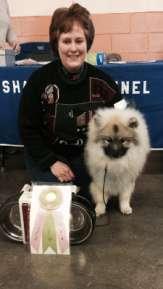 The Blues News Page 10 WAGS & BRAGS Jack was a STAR today! First time "in public" and he went Best Puppy in Match at Shawnee Kennel Club breed match! Such a good baby.