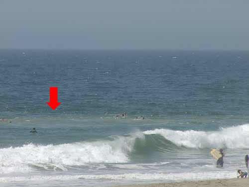Escaping a Rip Current First: Know