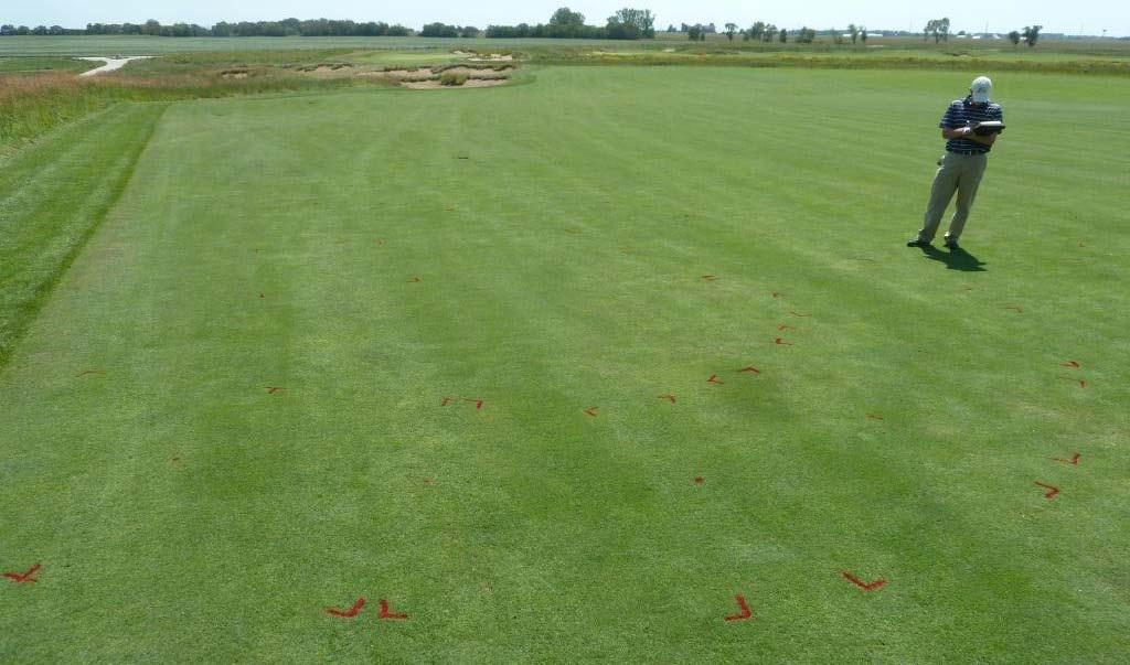 investigates a type II fairy ring on a Chicago golf course fairway. Sibicky 8-22-12 Alternatives to fungicides.