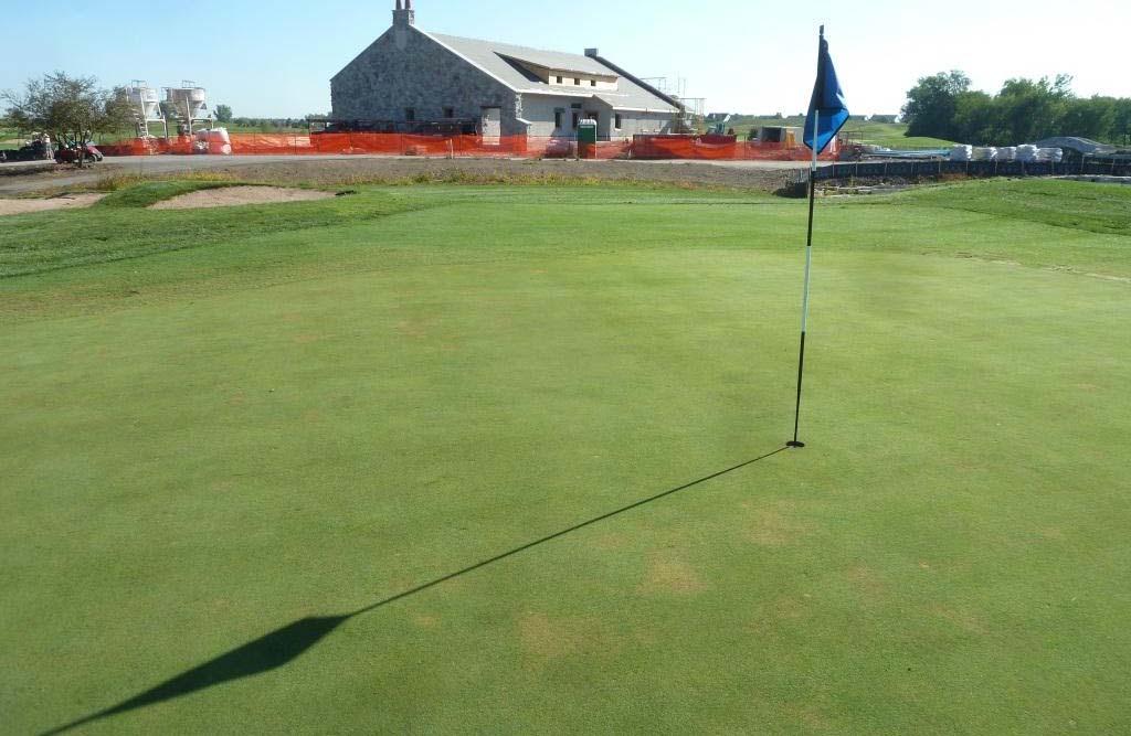 This week I said to a superintendent, Could take-all of bentgrass greens be returning? 6.
