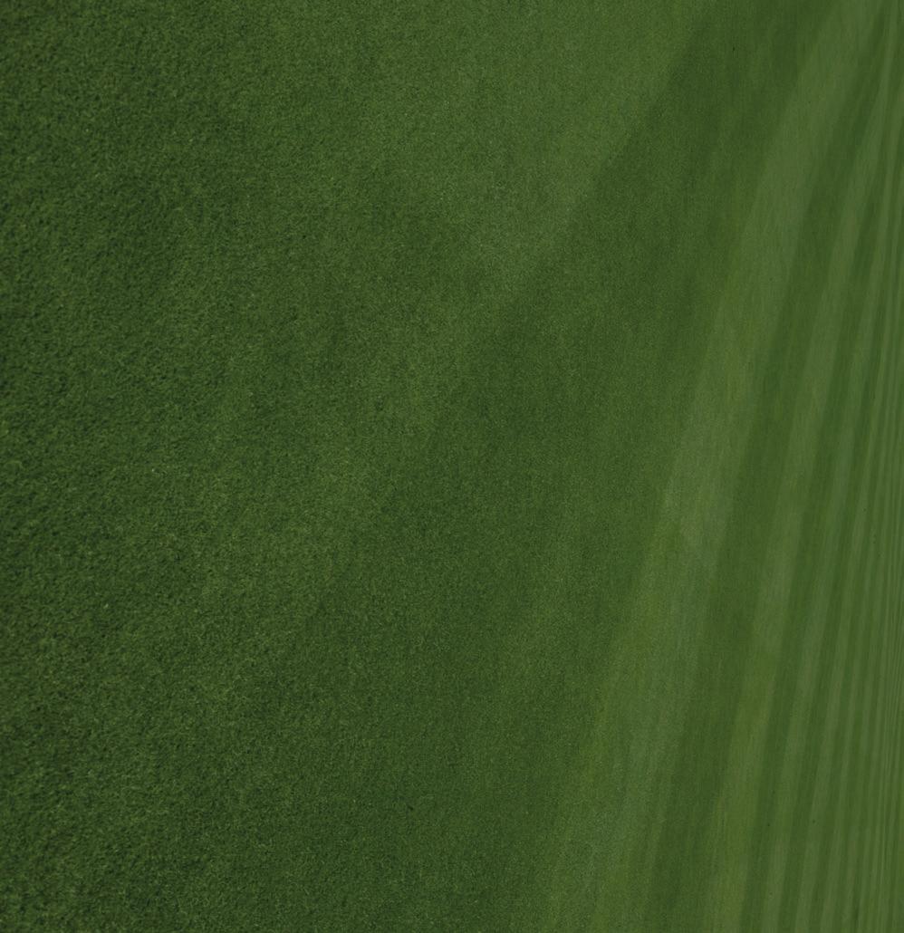 Superintendents say interseeding works for them Fast becoming the most highly regarded method for improving turf without interrupting course play, interseeding with the advanced bentgrasses from