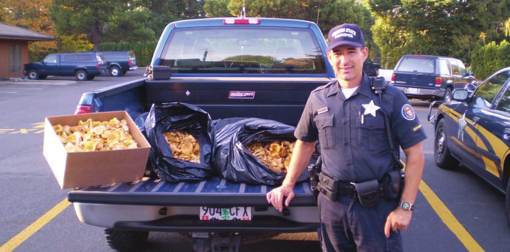 Environment / Habitat Permit Needed to Harvest Wild Mushrooms While on routine patrol in the Mt. Hood National Forest, Sgt.