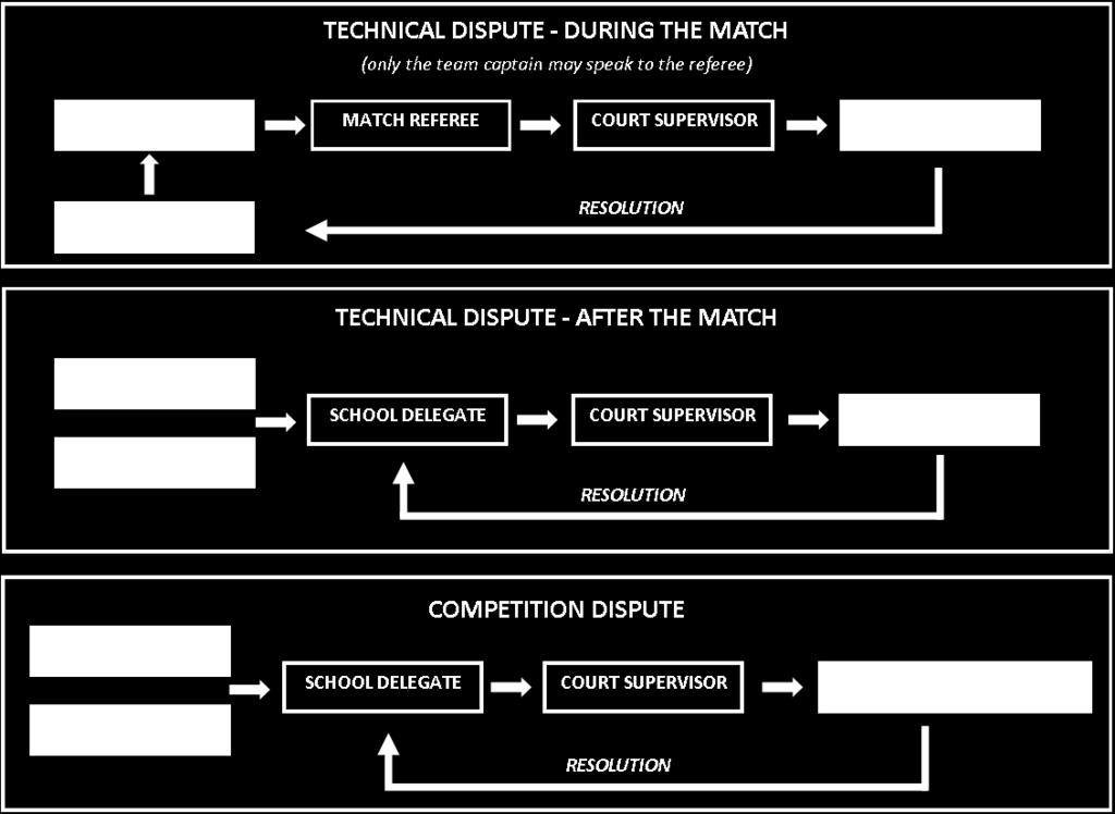 Type of Dispute Technical Competition Team Member Technical Delegate Tournament Director Description / Example of Dispute Disputes or