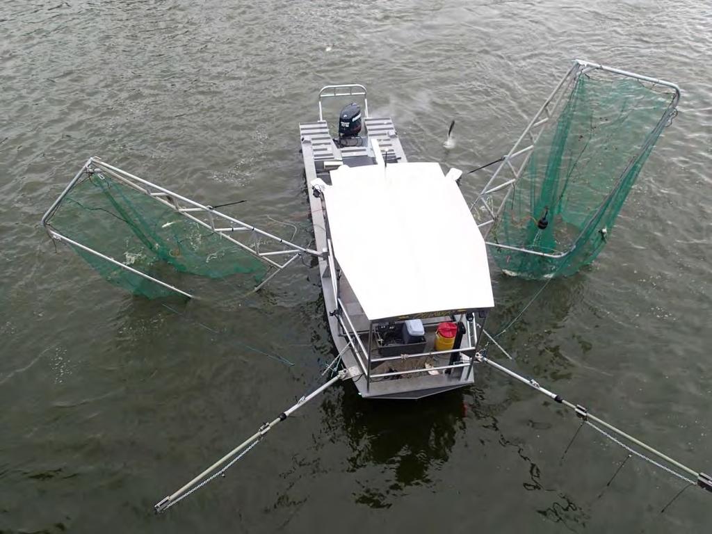 Figure 6. An aerial view of a paupier shows the rigid frames on both sides and booms extending in front of the boat.