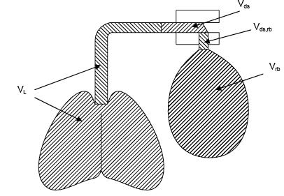 Model of rebreathing Single compartment of the total volume V s,tot Complete mixing of all the gases in volume composed by lung (V L ), dead (subject s and apparatus, V ds, V ds,rb ) and full bag (Vr