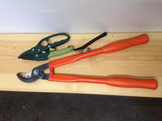 Tool Talk for Lopppers/ No gloves on any hands This is a pair of loppers/ This is the handle, this is the blade This is the cutting edge I hold the loppers/ like this (Hold the handle at the top with