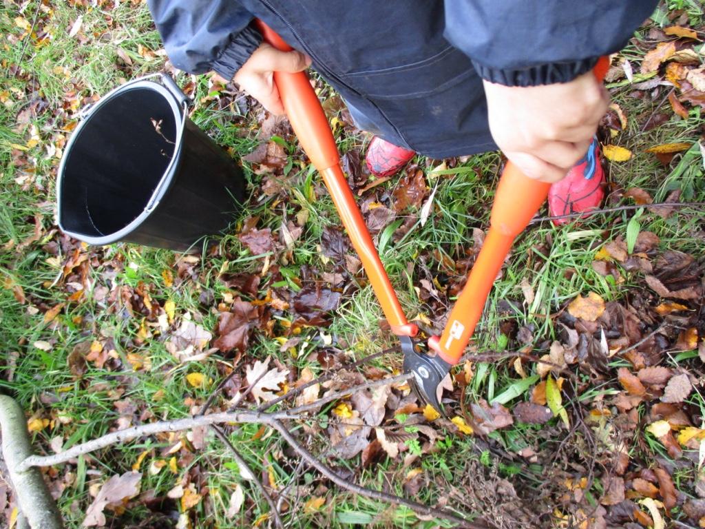 Tool Use The loppers/ should be used individually. A glove should not be worn on any hands. The piece of wood should be placed on the floor and the lopper/ secateur blades opened ready to cut.