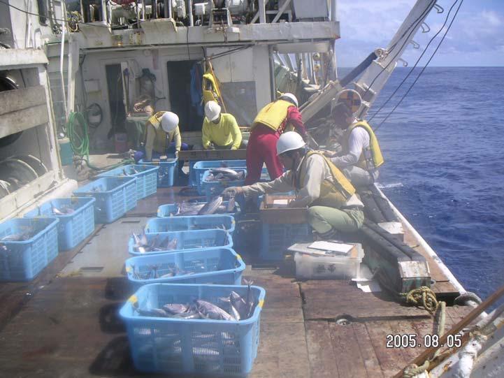 Species composition by fishing method (25 1 st tracking) Purse seine operation and on-board sampling were conducted for the same FAD just after the tracking 25 FAD6 species com position of the catch