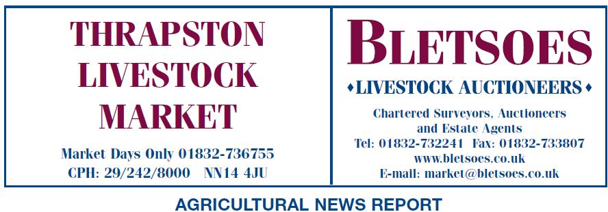 65 VENDORS SOLD 1331 HEAD OF STOCK THROUGH THRAPSTON MARKET THIS WEEK - 16TH FEBRUARY 2015 REPORT ON SATURDAY 14TH FEBRUARY Sheep - 275 - Sold at 10.