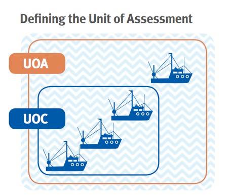 How is a Fishery Assessed?