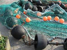 it would impact on their profit margins When fishing on VMEs they use the same fishing gear, but employ different practices.