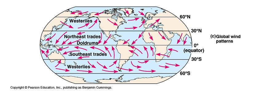 Why do ocean currents and global winds move in a circular pattern? The circular pattern is caused by the Coriolis Effect.