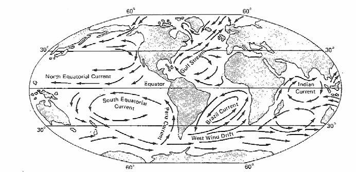 Hemisphere. As the winds and currents move, the Earth rotates underneath them. The currents appear to curve in relation to the Earth's surface.
