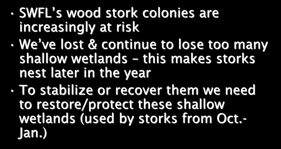 In a Nutshell SWFL s wood stork colonies are increasingly at risk We ve lost & continue to lose too many shallow wetlands this makes