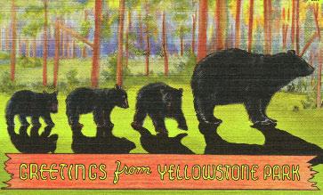 Visitors go to Yellowstone National Park to see the bears. Don t Feed the Bears For many years, visitors to Yellowstone National Park loved to feed the black bears that lived there.