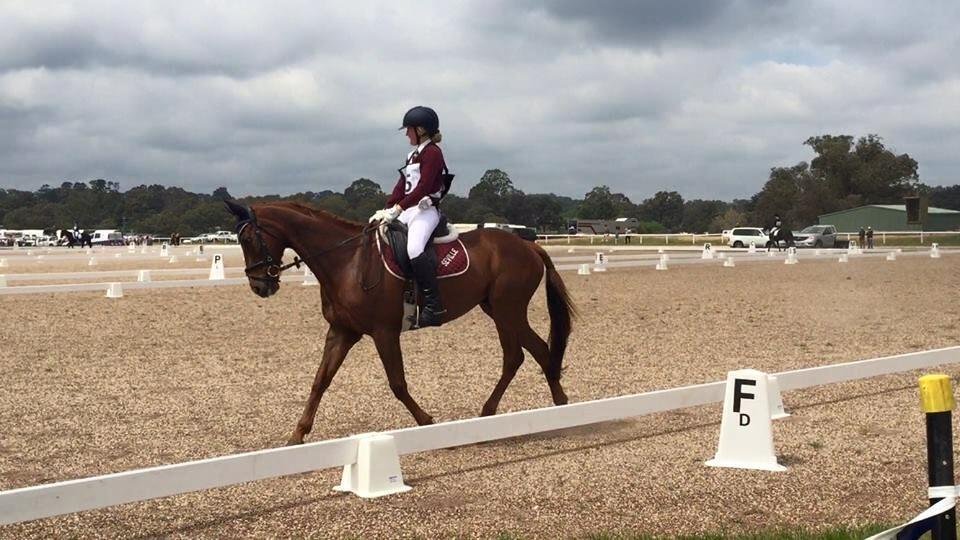 Grand Valley Show jumping Classic 2015 Date: 4th, 5th & 6th December Entries Open: 6am Wed, 4th November Entries Close: 11pm Sunday, 29th November Venue: Wandin Park, Wandin Programme: Download The