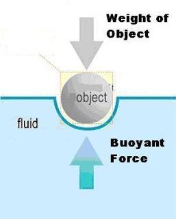 Buoyant Force Equal to the weight exerted by the fluid Mass = Volume x Density Weight = mass x g Bouyant Force = Volume * Density * g F b = V ρ g