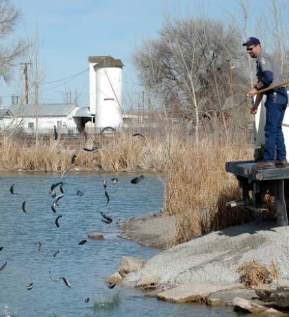 Fisheries Management C-26 Fisheries Management Division - continued 16 biologists manage over 600 lakes, ponds, reservoirs, & rivers Stream surveys of 200 miles on 29 streams in 2012 77,184 anglers,