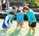 Programs and Activities Eco-Tour with a Hualālai Naturalist Take a guided traveling tour of the resort s natural